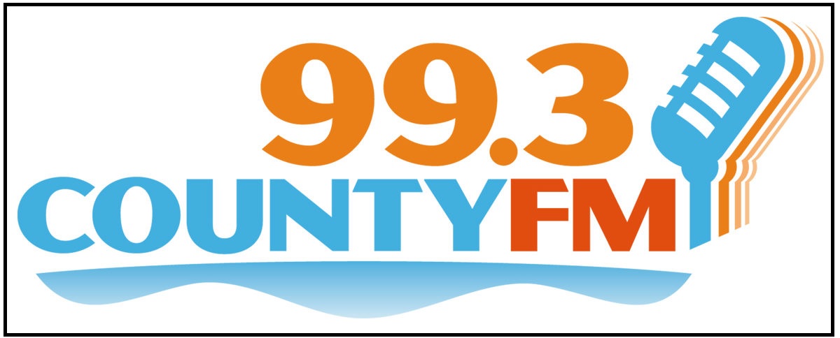 993logo